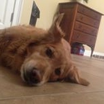 Bolakay Callaham - Instagram Profile Picture of Bolakay Callaham (@blake.callahan) on Instagram