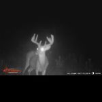 Profile Picture of Paul Pelfrey (@paulpelfrey) on Instagram