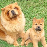 Profile Picture of Michael Kuperman (@michael-kuperman-2) on Quora