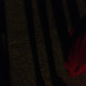 Profile Picture of Caleb Washburn (@calebwashburn9285) on Youtube