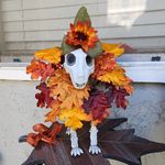 Profile Picture of Meshack Lwenje (@doristarkey) on Instagram