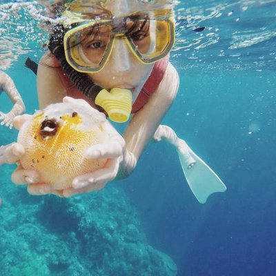 Profile Picture of Chia Lin (@chiailin22) on Twitter