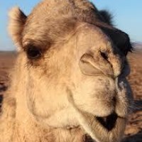 Profile Picture of Steve Jefferies (@steve-jefferies-1) on Quora