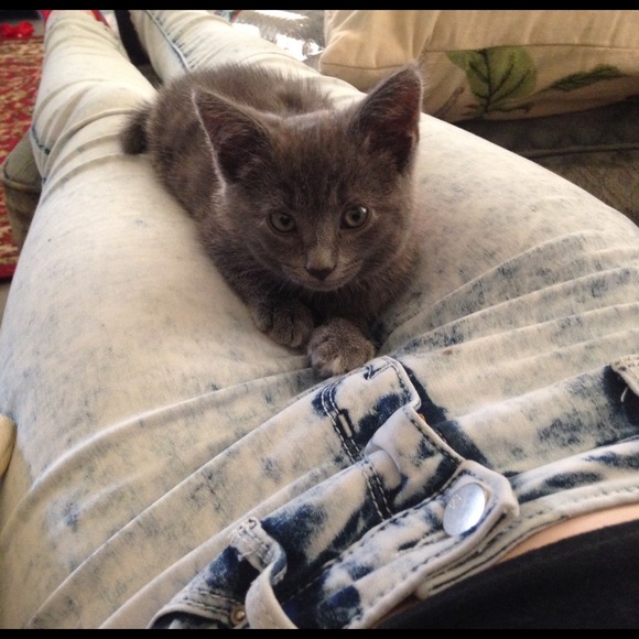 Natalie Parker - Poshmark Profile Picture of Natalie Parker (@pistachiog) on Poshmark