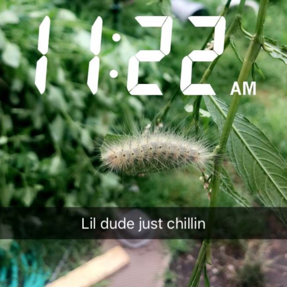 Audrey Koenigsdorf - Poshmark Profile Picture of Audrey Koenigsdorf (@akoenigsdorf) on Poshmark