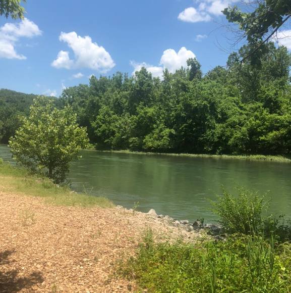 Profile Picture of Wayne Divelbiss (@wdivelbiss) on Poshmark