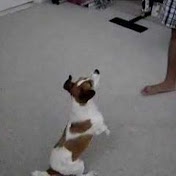 Profile Picture of Mike Yuen (@UltraC97) on Youtube