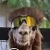 Profile Picture of David Allison (@david.allison.777363) on Facebook
