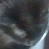 Profile Picture of Aaron Leblanc (@aaron-leblanc-5) on Quora