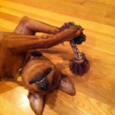 Profile Picture of Pam Hay (@pamhay0930) on Twitter