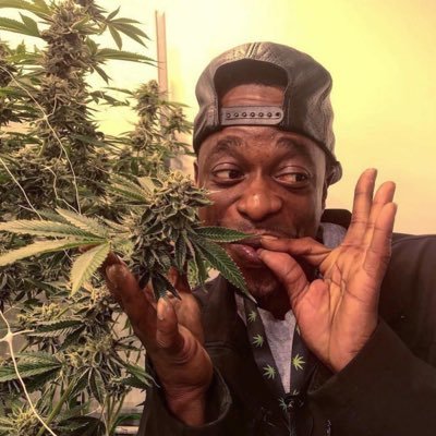 Profile Picture of Devin The Dude (@devindude420) on Twitter