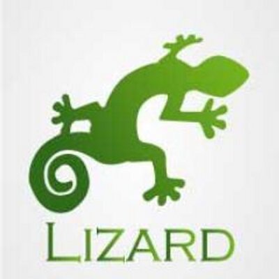 Profile Picture of Lizard Technology (@LizardDavid) on Twitter
