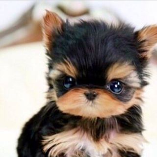 Profile Picture of Van Christopher (@Van-Christopher) on Facebook