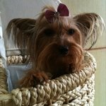 Profile Picture of camicampbell (@camicampbell) on Instagram