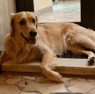 Profile Picture of Mario Parrinello (@mario.parrinello.581) on Facebook