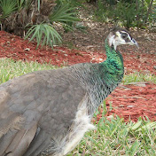 Profile Picture of Alex Hubbard (@alexhubbard8895) on Youtube