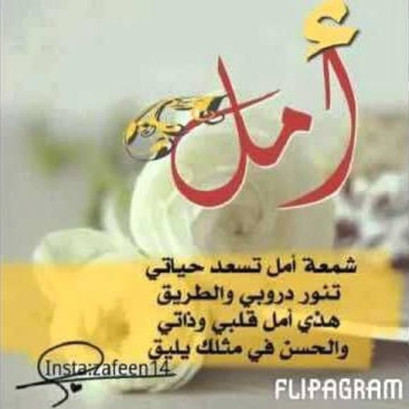 Profile Picture of Amani Hamida (@amani100689) on Poshmark