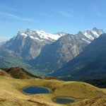 Profile Picture of Pamela Pilgrim (@tuchbootysolid) on Instagram