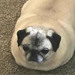 Profile Picture of Jason Burchfield (@jason.burchfield.988) on Instagram