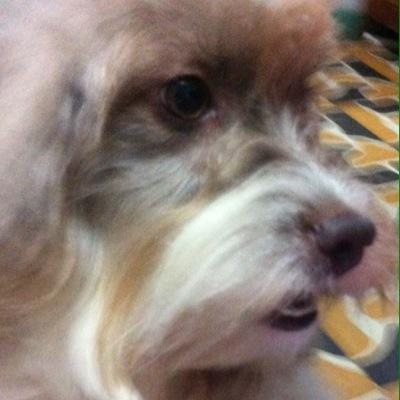 Hugo Mosquera - Twitter Profile Picture of Hugo Mosquera (@willile27) on Twitter