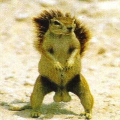 Profile Picture of Kenny Farmer (@Kenny_Hanworth) on Twitter