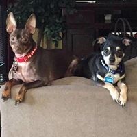 Profile Picture of Sandra Gibbs (@sandra-gibbs-13) on Quora