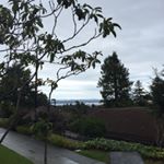 Profile Picture of Taylor Perry (@taylorcorine) on Instagram