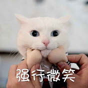 Profile Picture of Cui Huang (@cuihuang9390) on Youtube