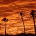Profile Picture of David Schlemmer (@dschlemm) on Pinterest