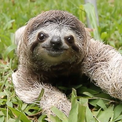 Profile Picture of Brad Hanks (@bradhanksme) on Twitter