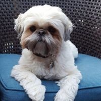 Profile Picture of Paige Higgins (@paige-higgins-14) on Quora