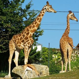 Profile Picture of David Laura (@david.laura.75) on Facebook