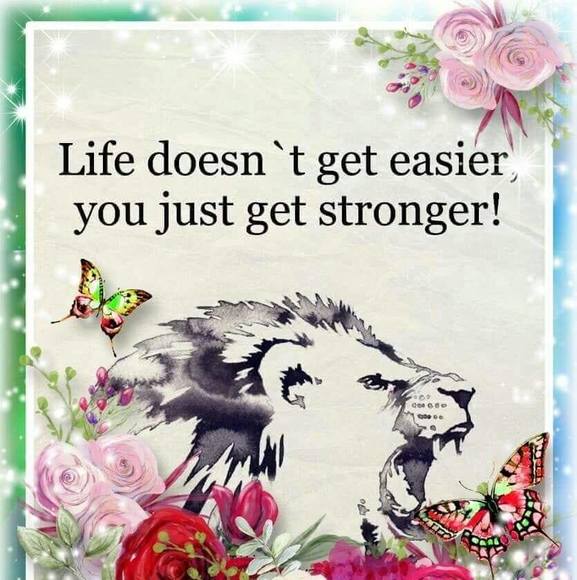 Profile Picture of Christopher Ross (@07110711c) on Poshmark