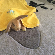 Profile Picture of Amanda Watson (@amandawatson4566) on Youtube