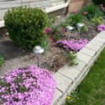 Profile Picture of Gloria Quicho Paguio (@gloriqp) on Instagram