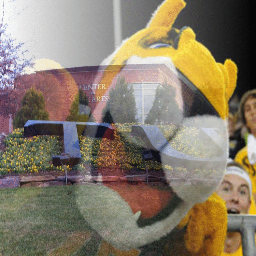 Profile Picture of Brandon Towson Tiger (@av_champagne) on Twitter