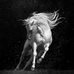 Profile Picture of Wanda-Jean Litten (@wandajeanlitten) on Instagram