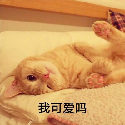 Profile Picture of Yiqing Yang (@YiqingYang9) on Twitter