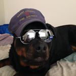 Profile Picture of Brent Haley (@b.haley.5) on Instagram