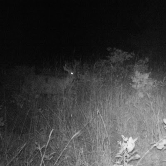 Chris Britton - Poshmark Profile Picture of Chris Britton (@chrisbritton4) on Poshmark