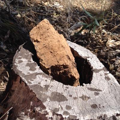 Profile Picture of Jamie (@WitcherNicholas) on Twitter