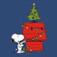 Profile Picture of Kailee Stephens (@kailee-stephens-6) on Quora