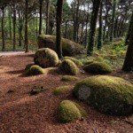 Profile Picture of Quinton (@quintonnealy5) on Instagram