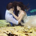 Profile Picture of Robin Overbay (@birdobay) on Instagram