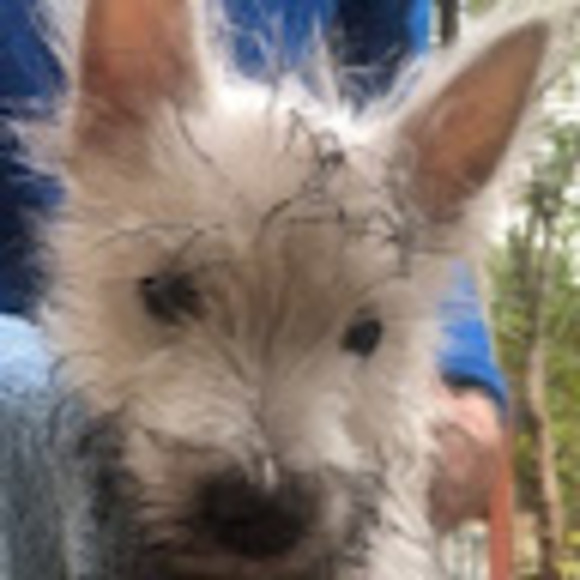 Profile Picture of Miriam Mcleod (@ryueee) on Poshmark