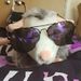 Profile Picture of James Brading (@brading1257) on Pinterest