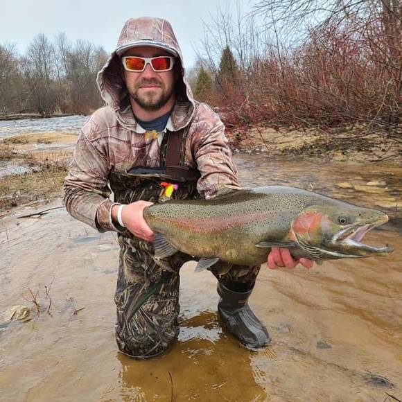 Tom Perron - Poshmark Profile Picture of Tom Perron (@tlperron_10) on Poshmark