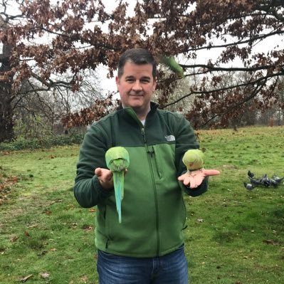 Profile Picture of Mike Pengelly (@MPengelly) on Twitter