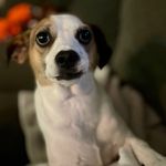 Profile Picture of Wendy Cramer (@wjcramer) on Instagram