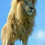 Profile Picture of Jacob Portillo (@jacobportillo12) on Instagram